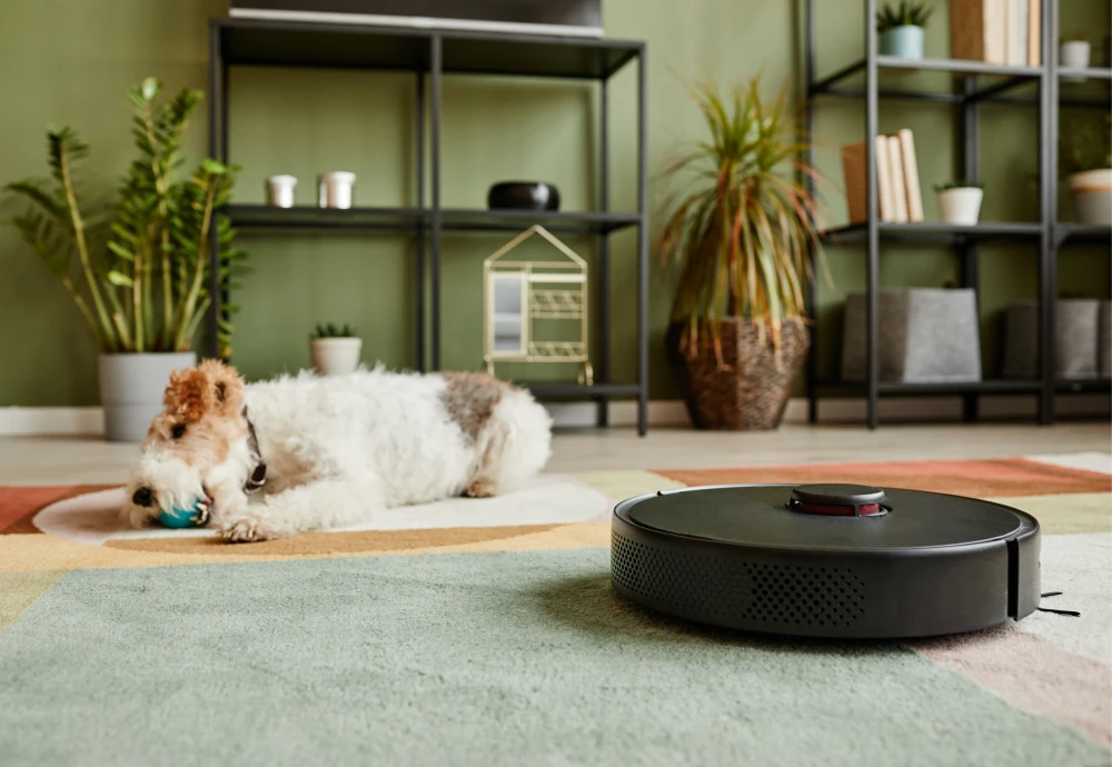 smart robotic vacuum cleaner